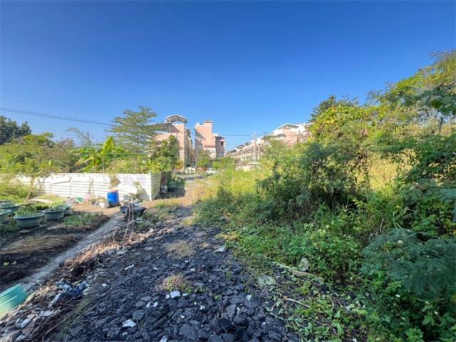 旗山山坡地-5