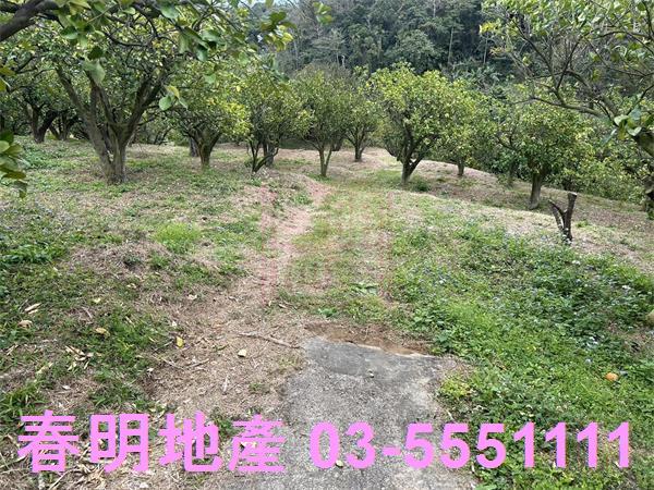 新竹峨眉農地-1