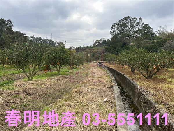 新竹峨眉農地-2