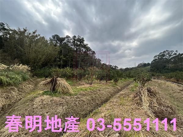 新竹峨眉農地-3