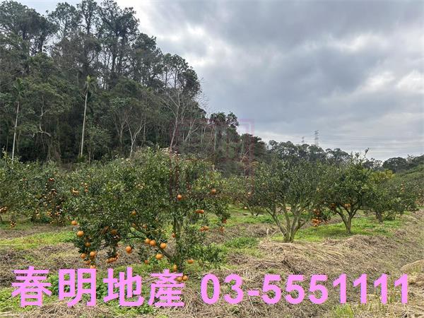 新竹峨眉農地-4