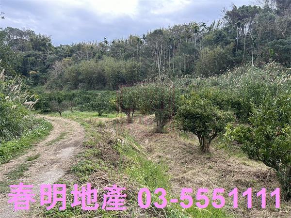 新竹峨眉農地-6