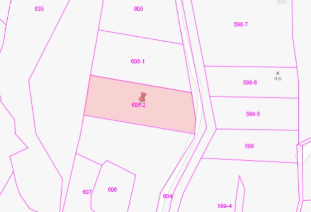 台中大甲法拍農地-3