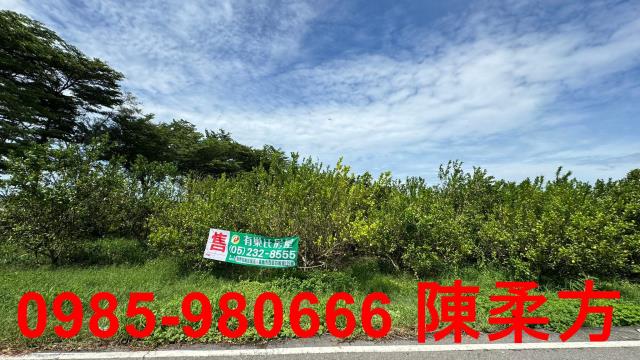 新港農地-11