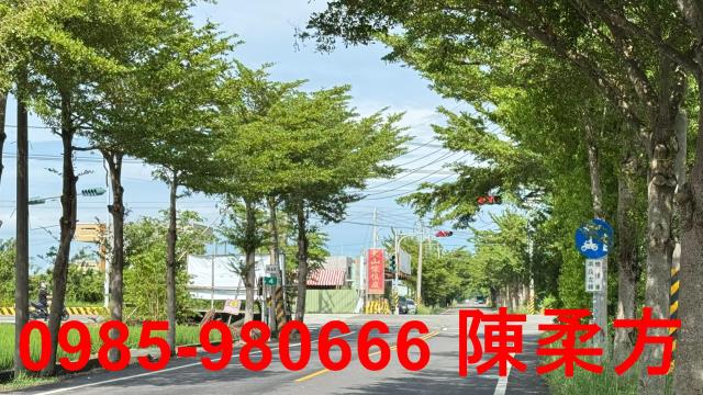 新港農地-12