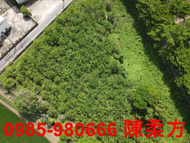 新港農地-3