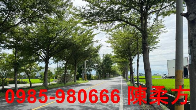 新港農地-5