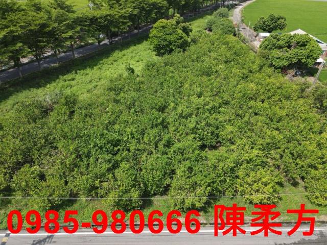 新港農地-8