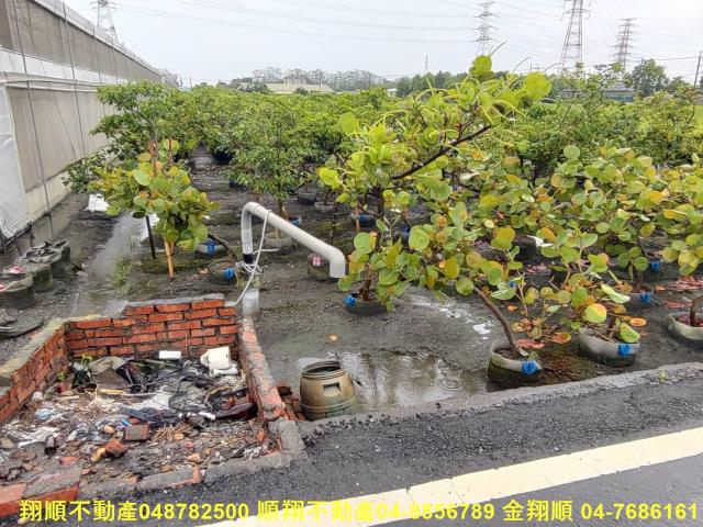 埤頭農地-1
