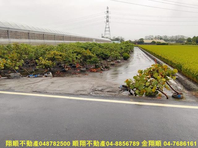 埤頭農地-5