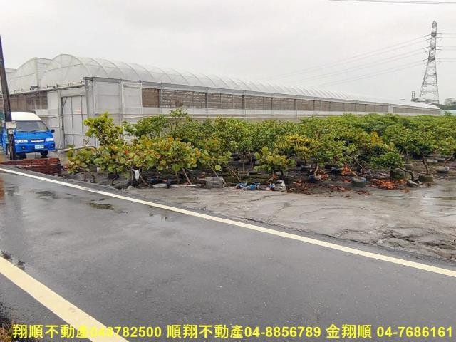 埤頭農地-6