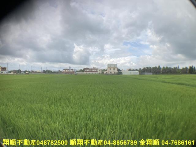 福興農地-3
