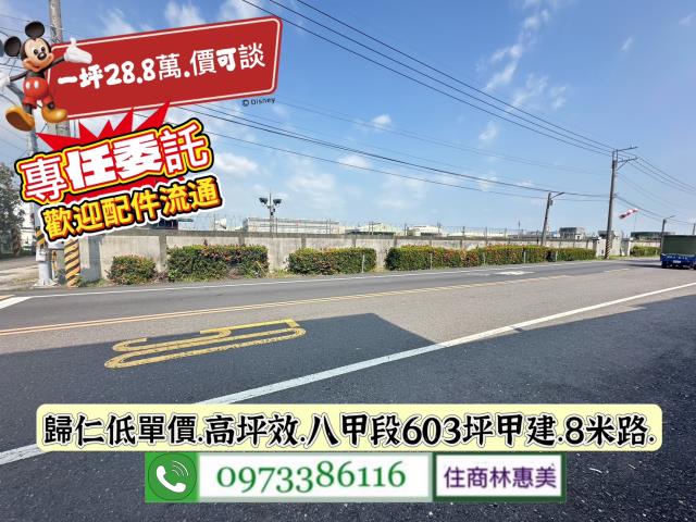 台南建地-1