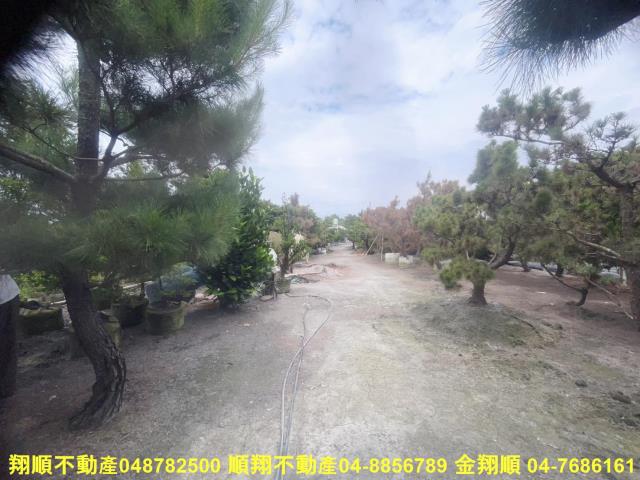 彰化農地-11