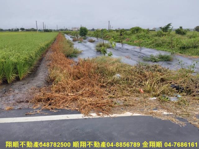 彰化埤頭農地-2