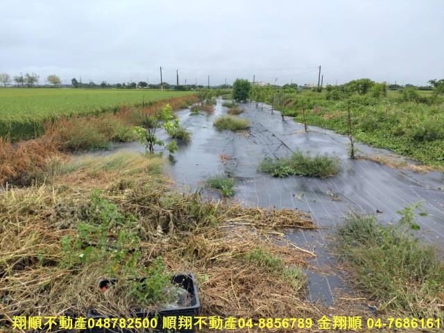 彰化埤頭農地-6
