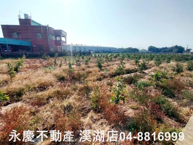 竹塘農地-4