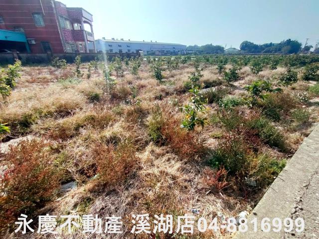 竹塘農地-1