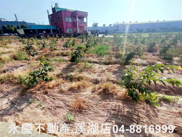 竹塘農地-5
