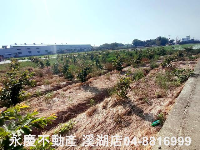 竹塘農地-7
