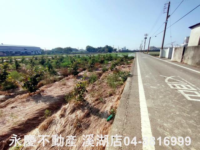 竹塘農地-2