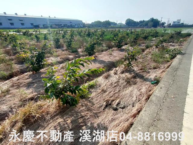 竹塘農地-8