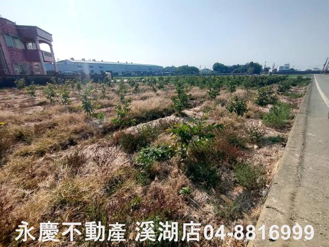 竹塘農地-9