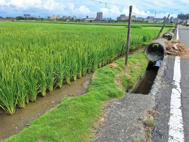 橋頭農地-1