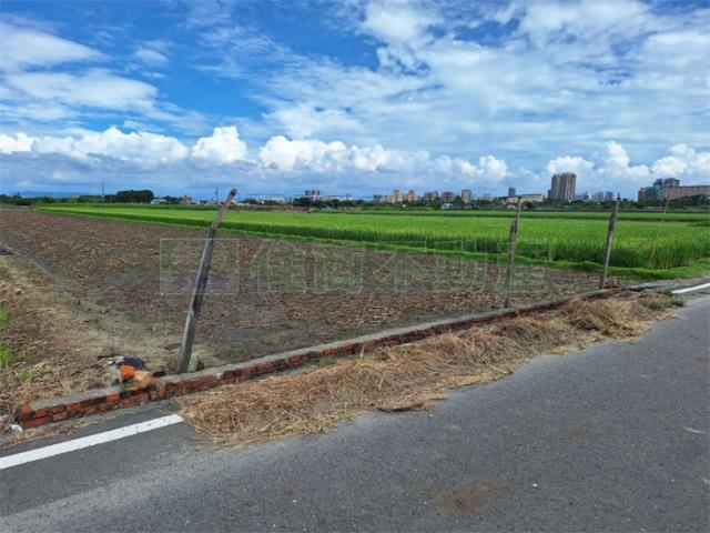 橋頭農地-5
