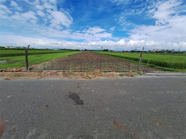 橋頭農地-6