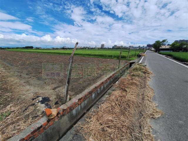 橋頭農地-8