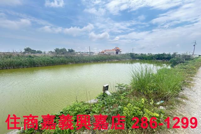 嘉義農地-4