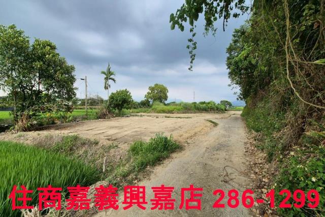 嘉義農地-10