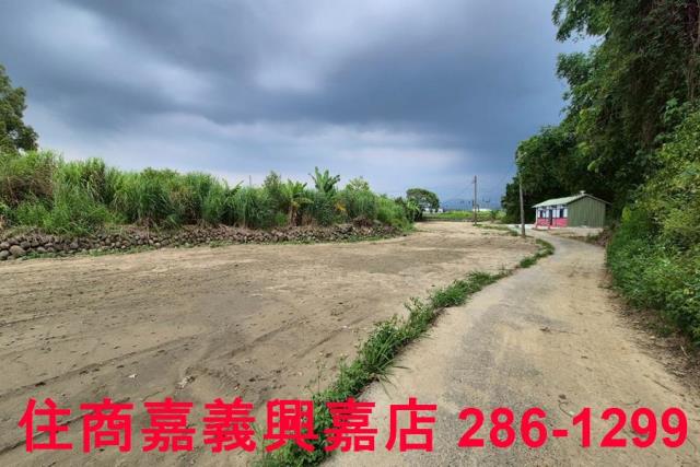 嘉義農地-8