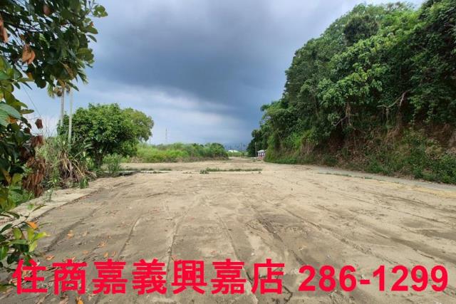 嘉義農地-9