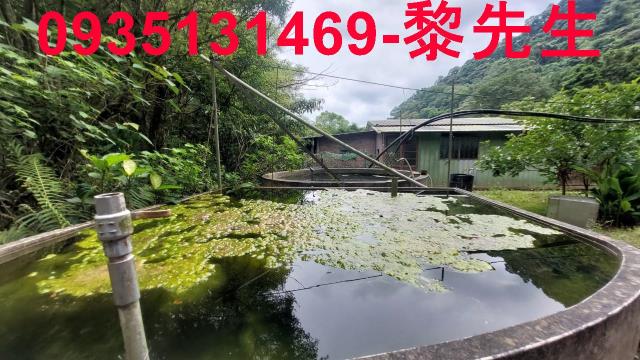 新竹橫山農地-10