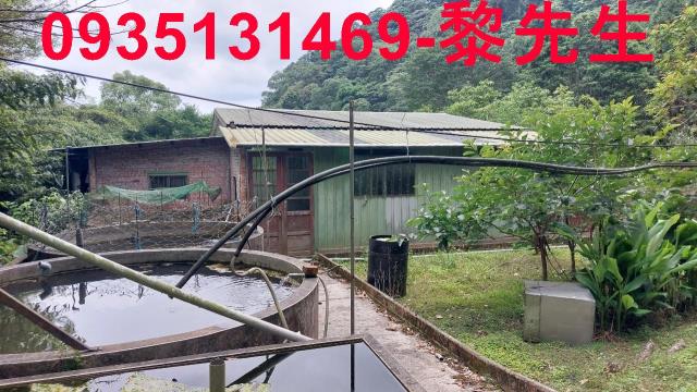 新竹橫山農地-11