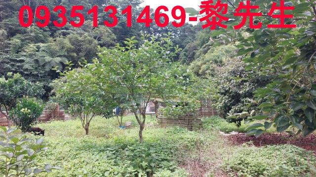 新竹橫山農地-4