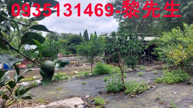 新竹橫山農地-1