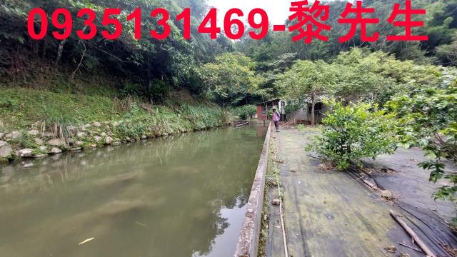 新竹橫山農地-8