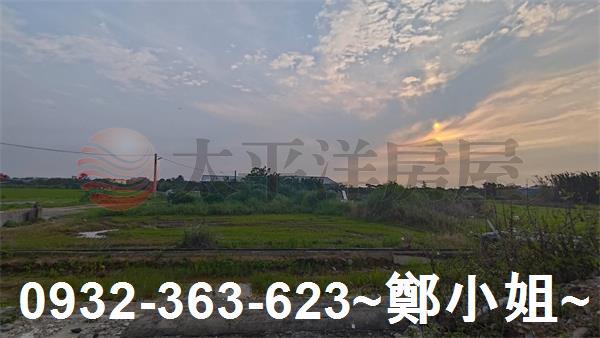 桃園大園農地-1