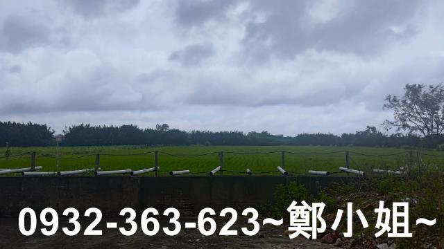 桃園大園農地-2