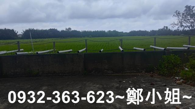 桃園大園農地-3
