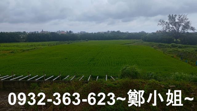 桃園大園農地-5