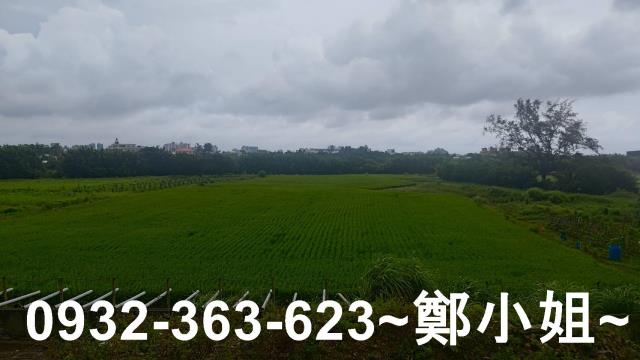 桃園大園農地-6
