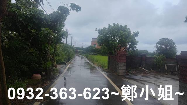 桃園大園農地-9