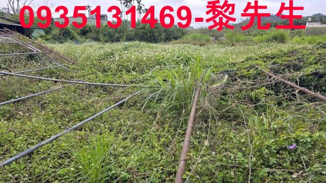 新竹關西農地-13