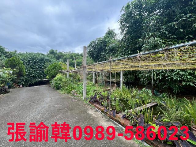 南投草屯山坡地-15