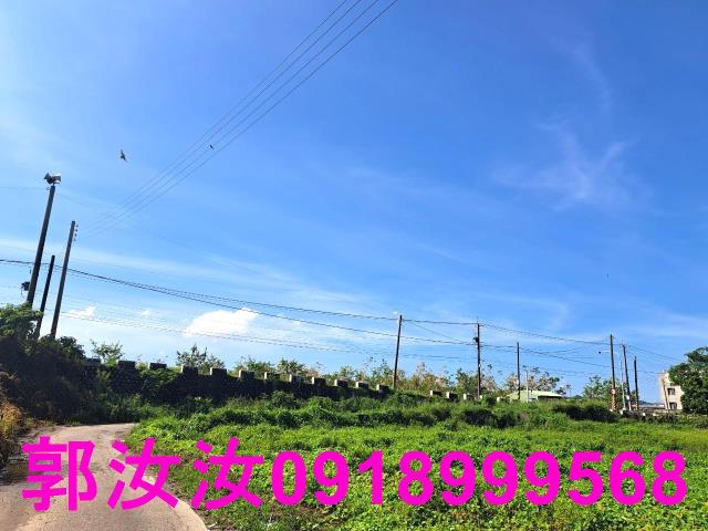 台南柳營農地-12