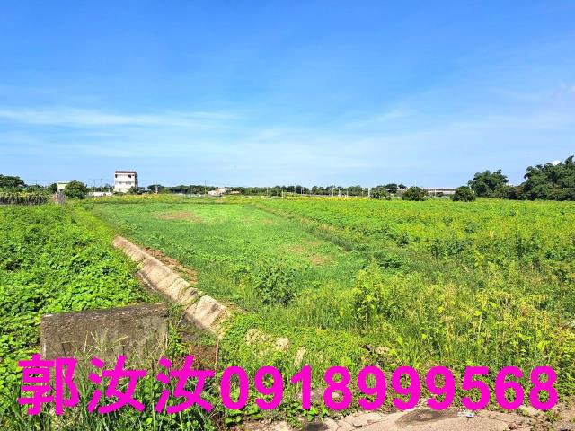 台南柳營農地-9